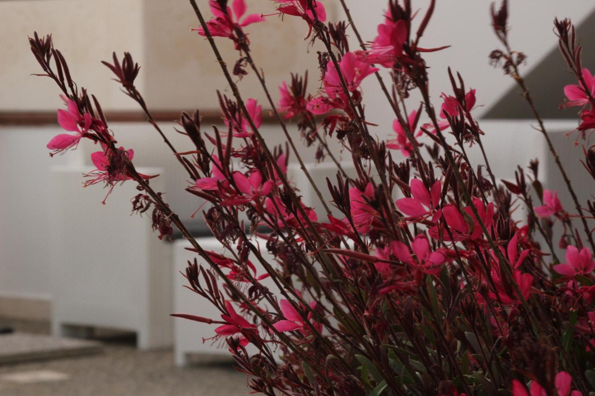 Residence Mare Azzurro ตอร์เร ซาน จิโอวานนิ อูเจนโต ภายนอก รูปภาพ
